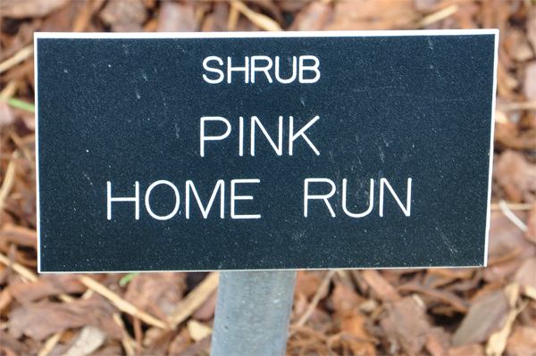 sign: Pink Home Run 